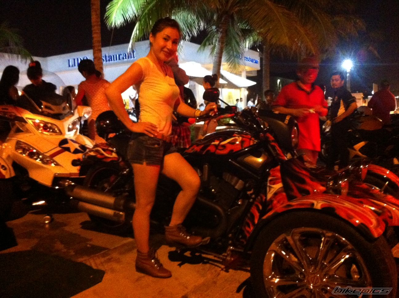 Photo 2537412