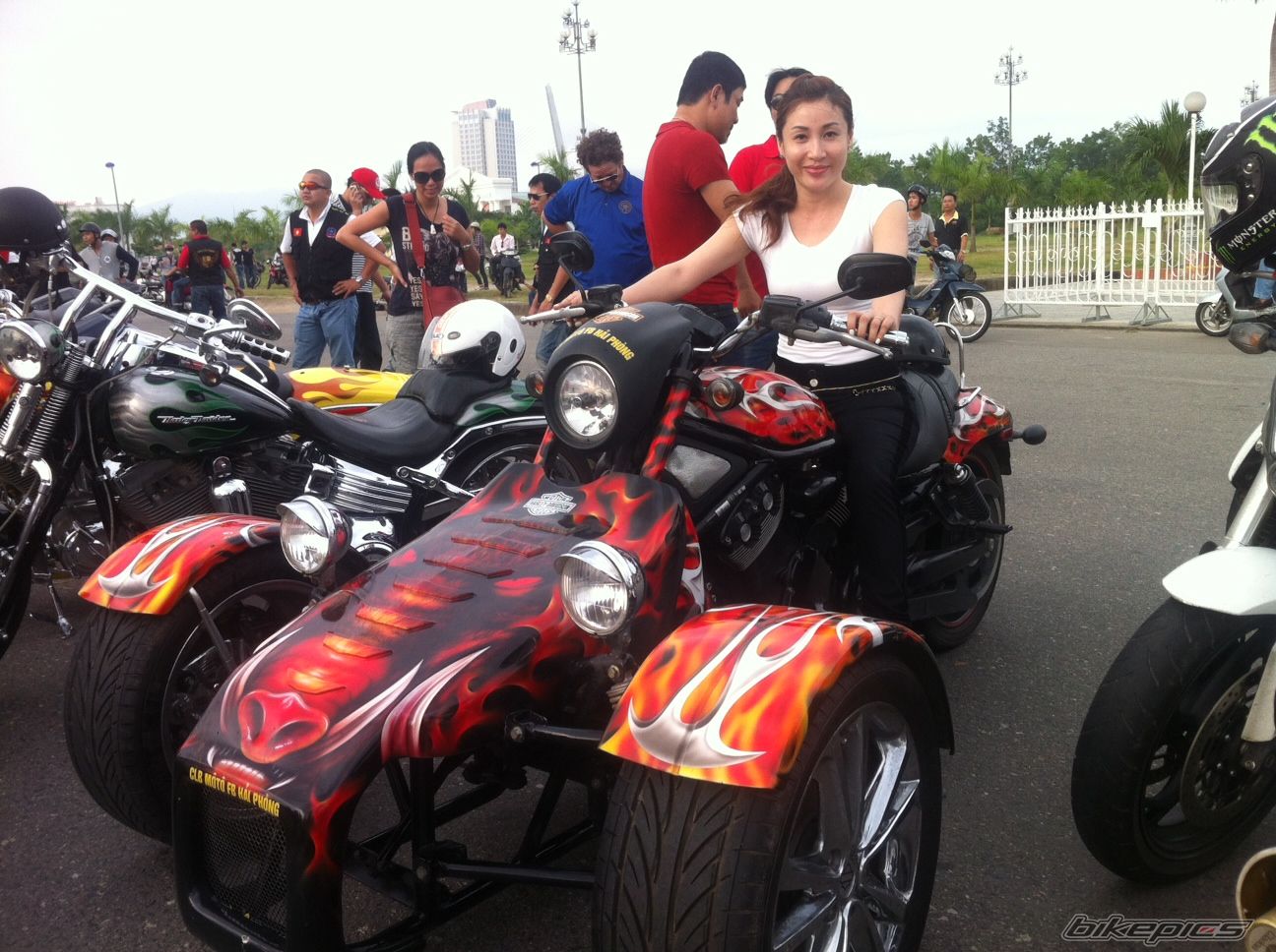 Photo 2537432