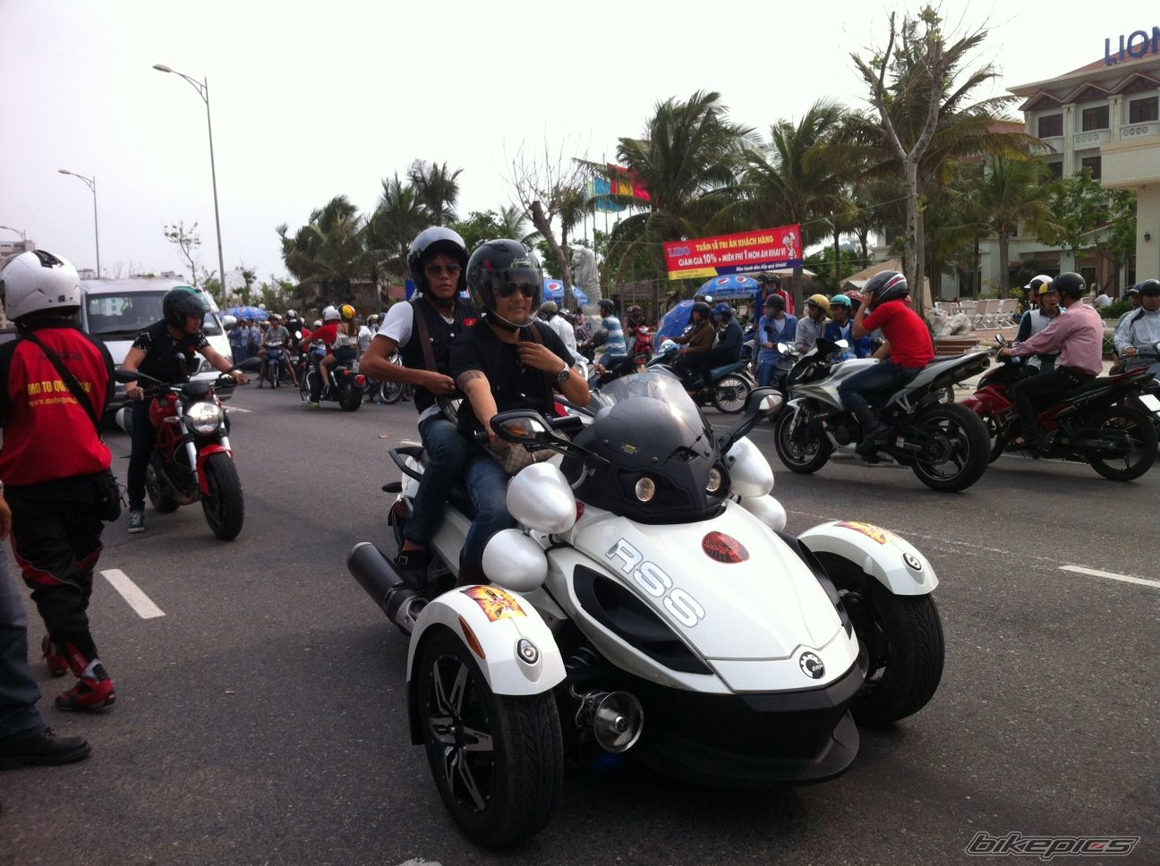 Photo 2537439
