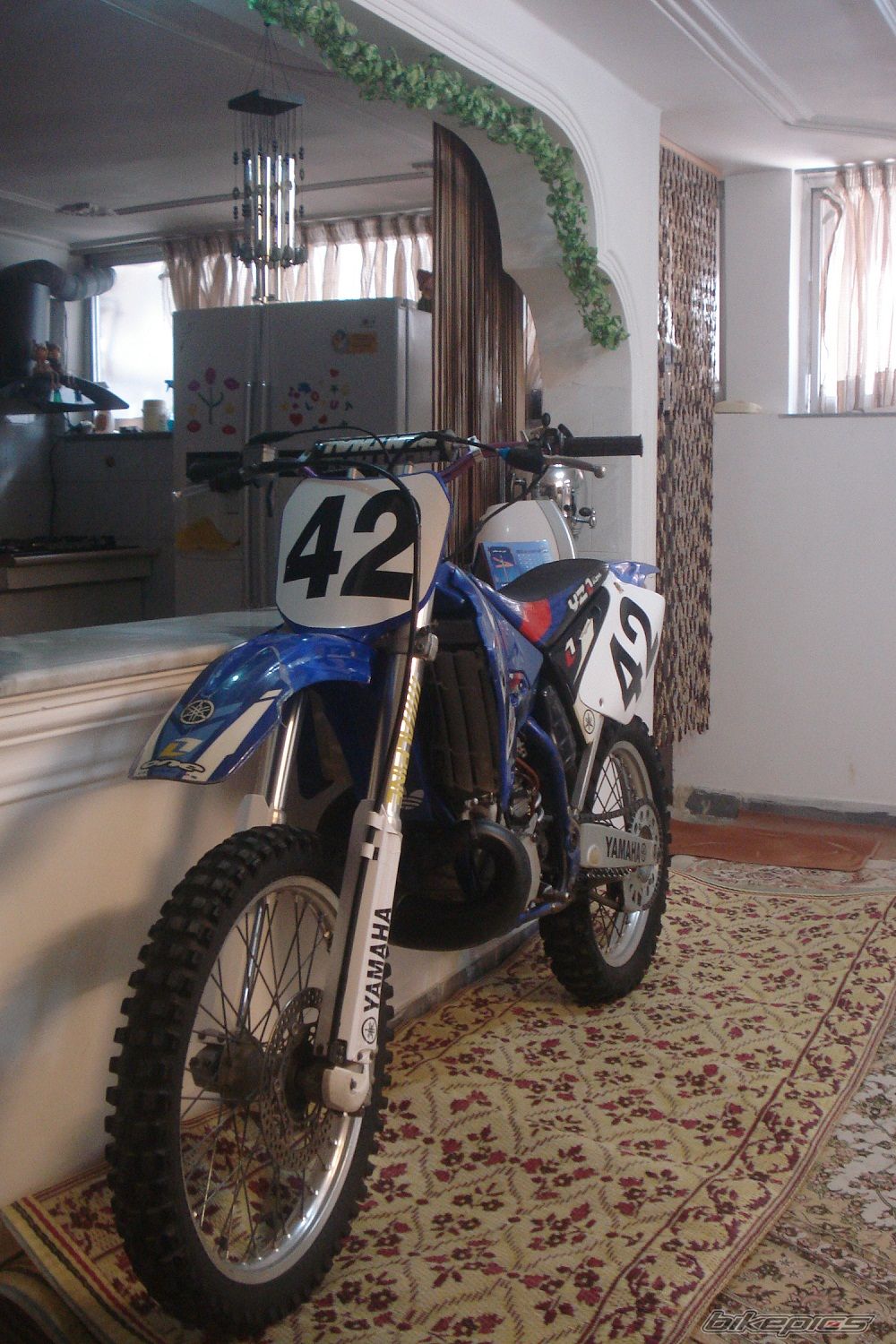 Photo 2537488