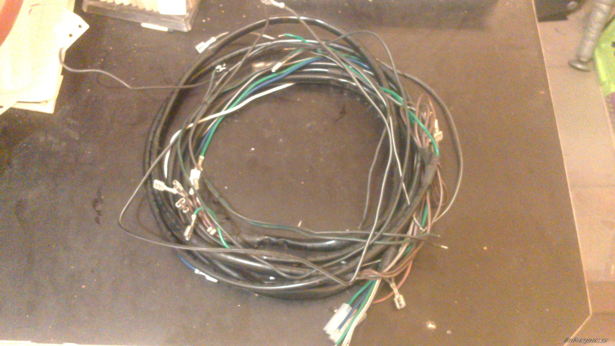 Photo 2537498
