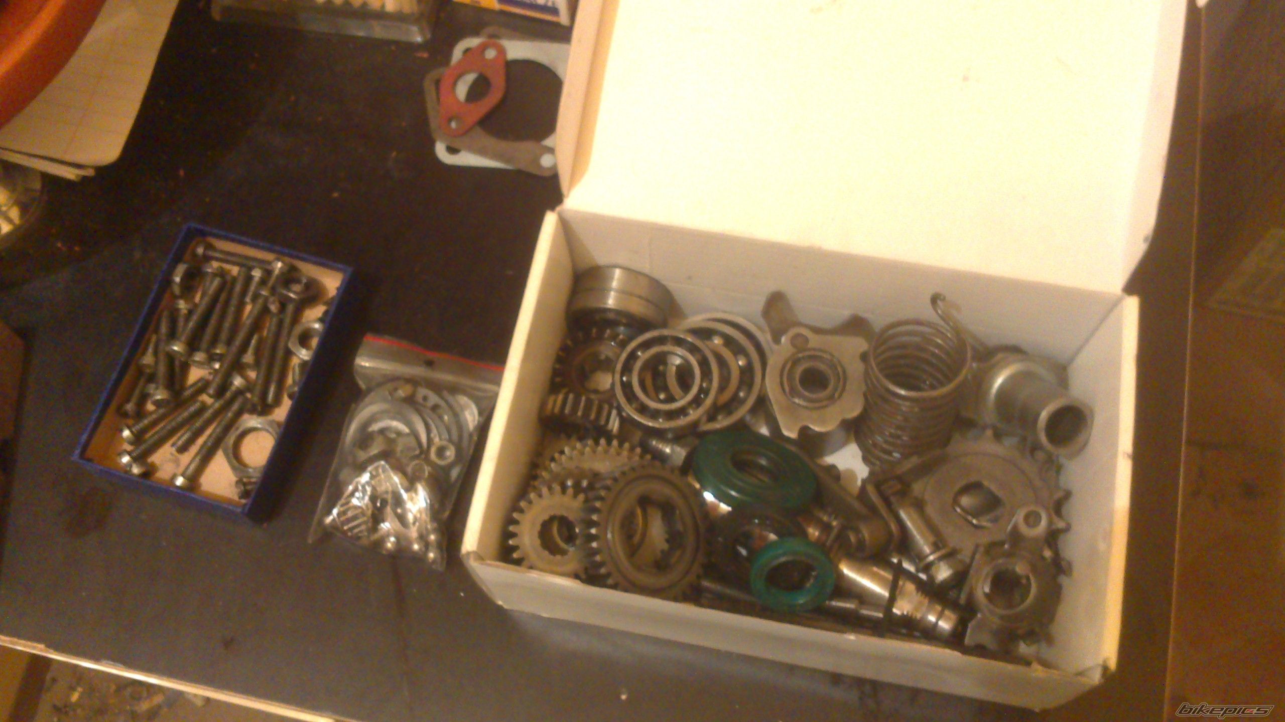 Photo 2537530