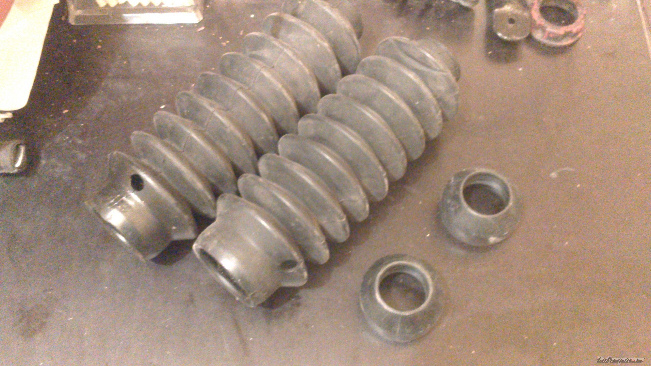 Photo 2537545