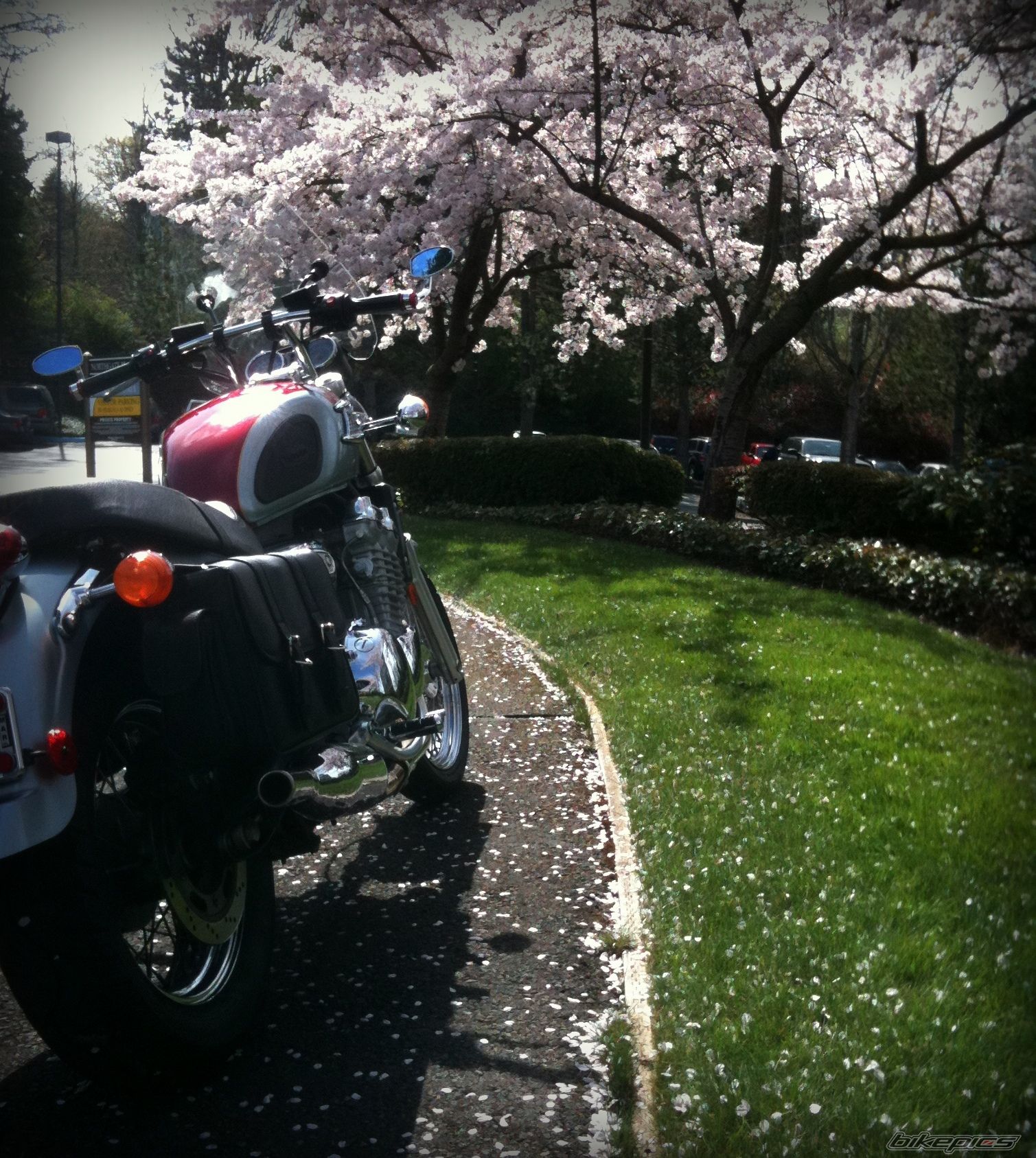 Photo 2537704