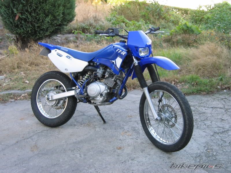Photo 2537753