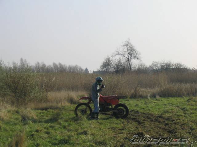 Photo 253776