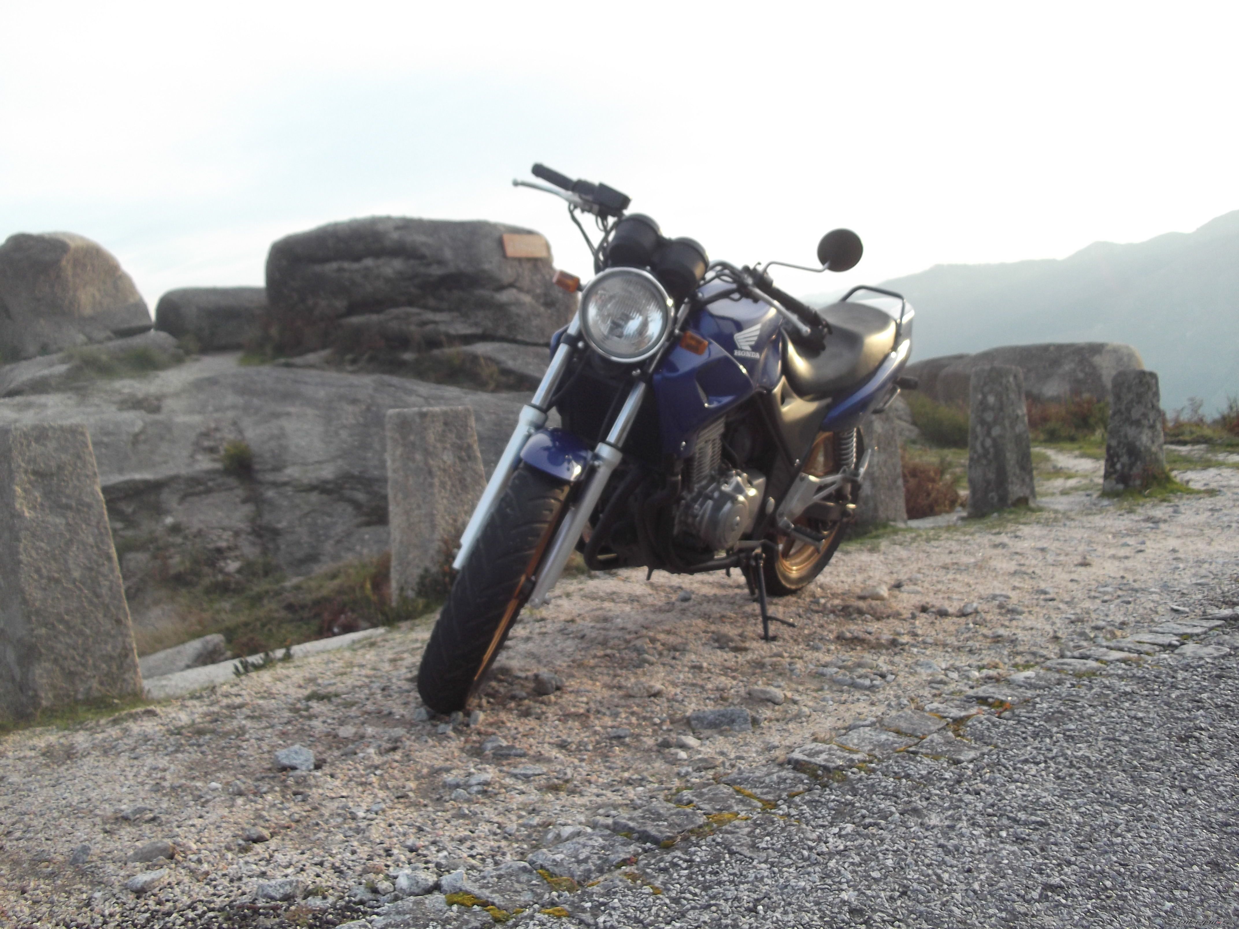 Photo 2537768