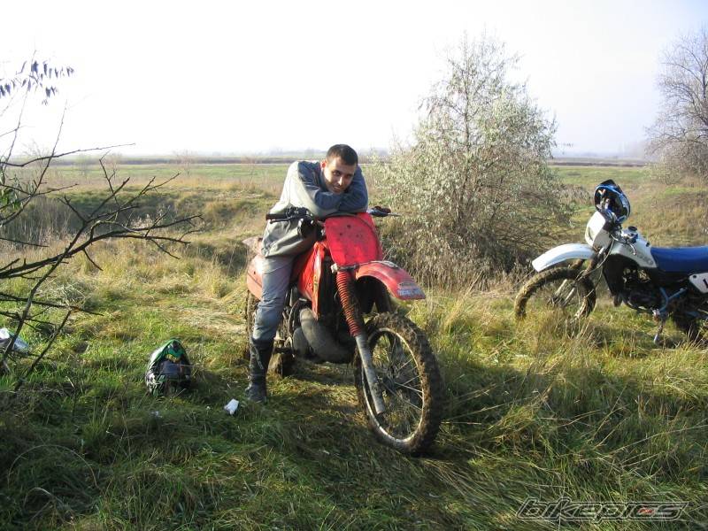 Photo 253778