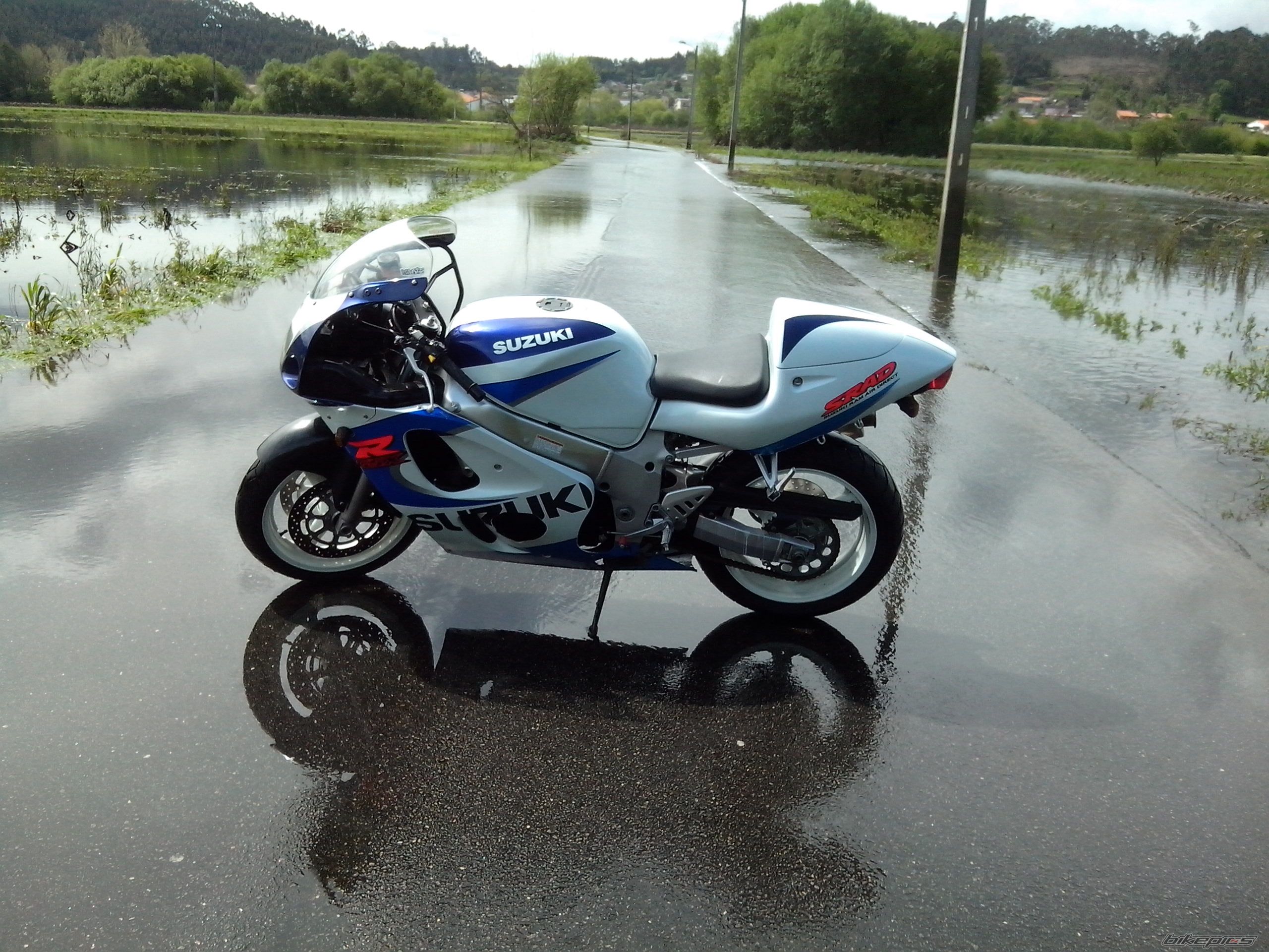 Photo 2537835