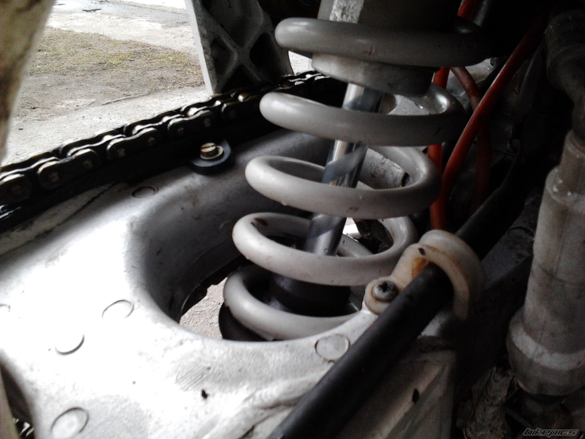 Photo 2537894