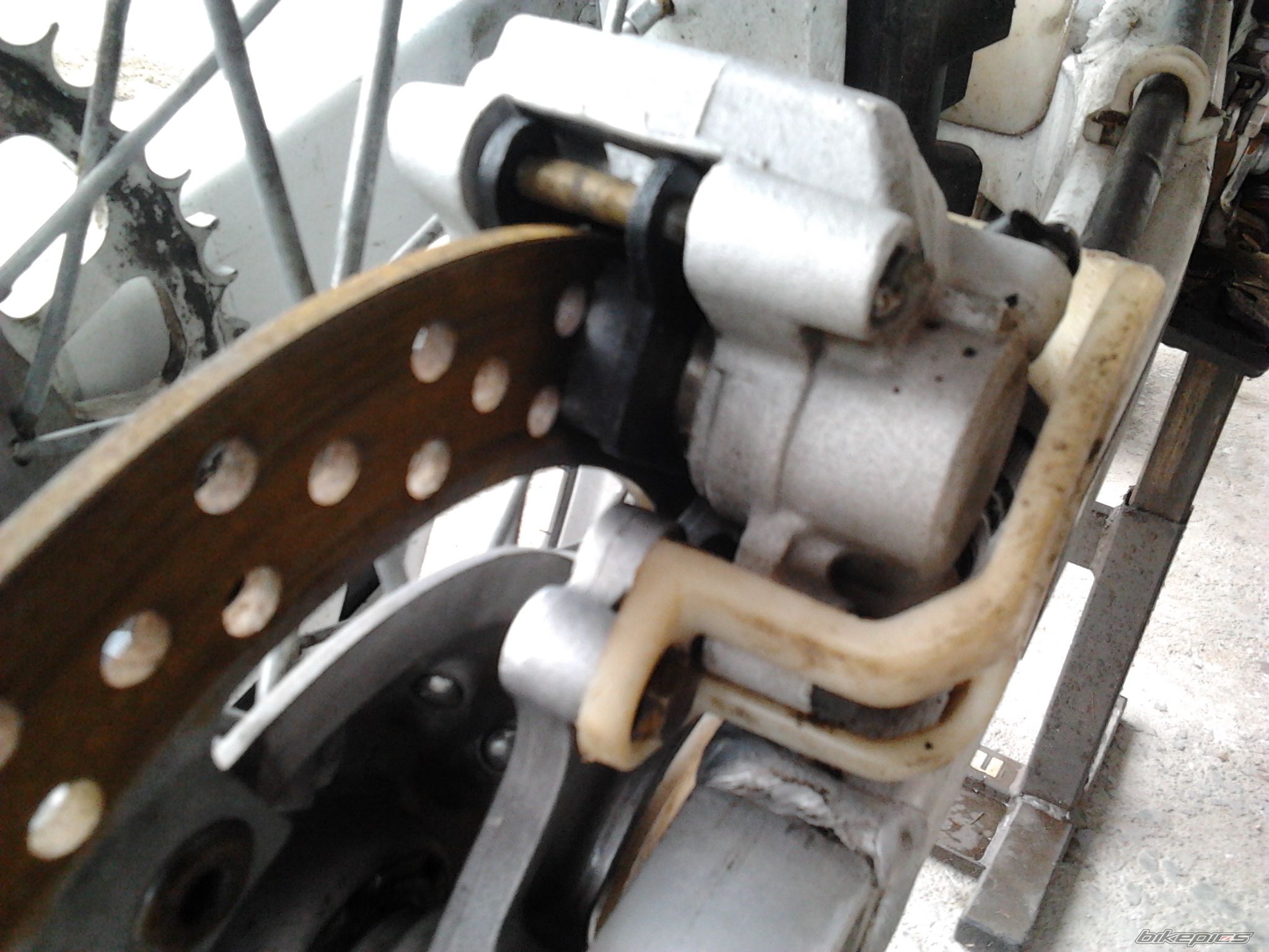Photo 2537899