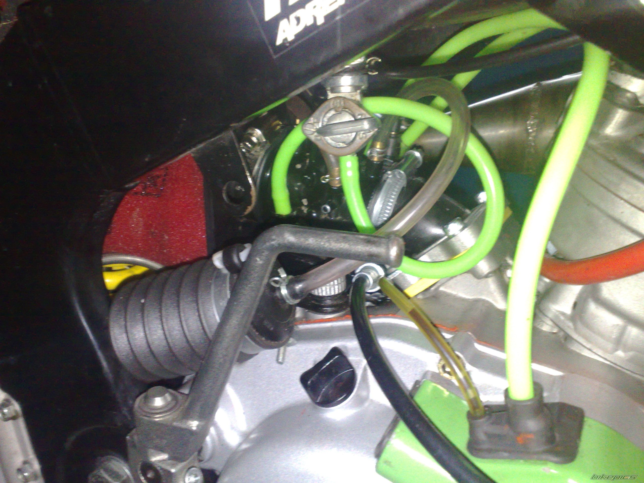 Photo 2537962