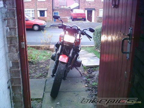 Photo 253797