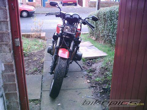 Photo 253798