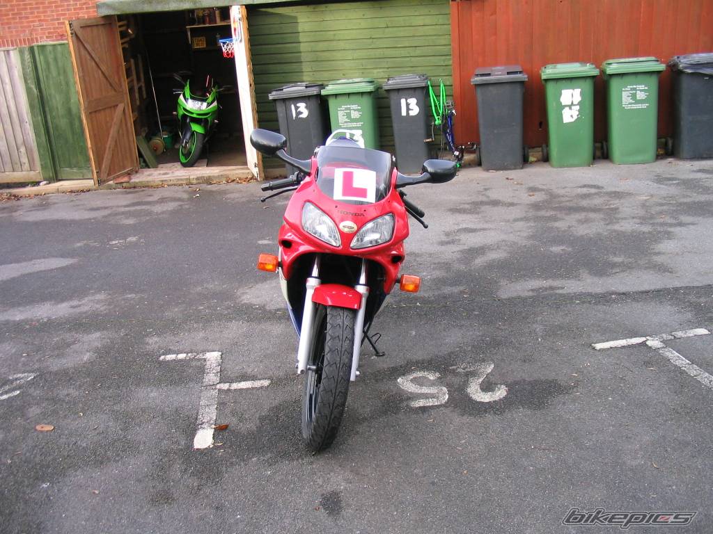 Photo 253799