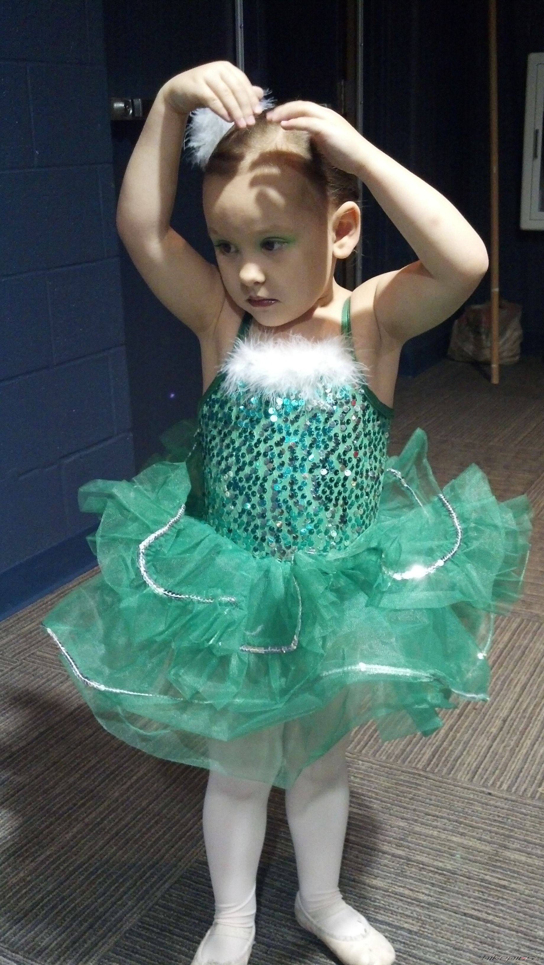 Photo 2538034