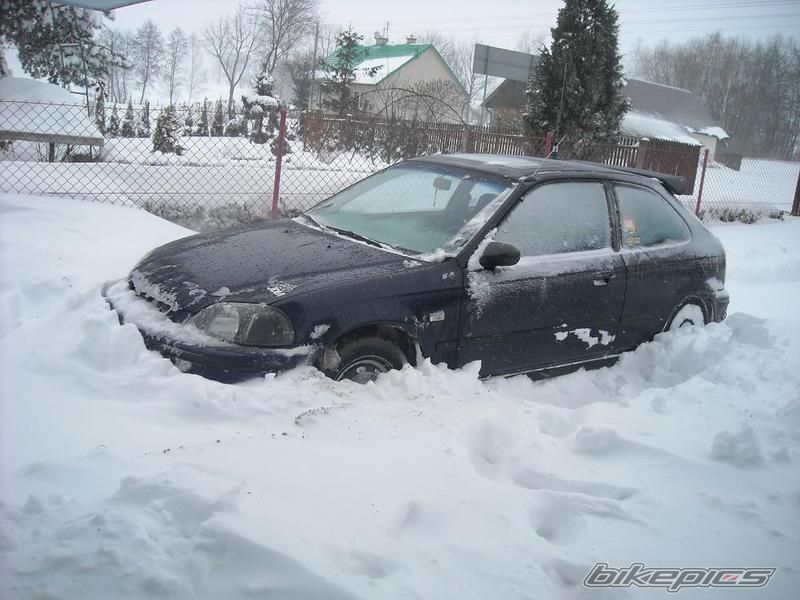 Photo 2538057