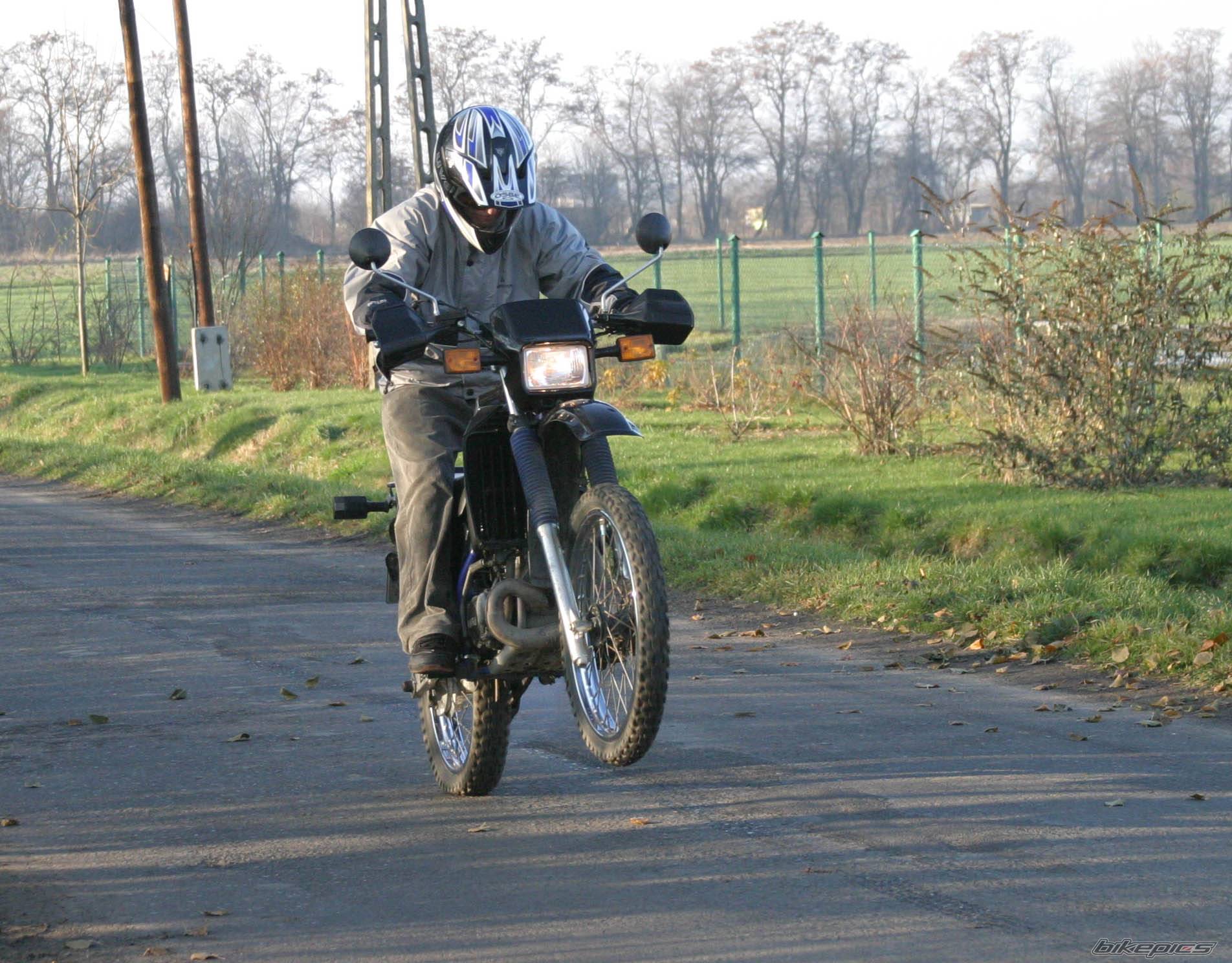 Photo 253810