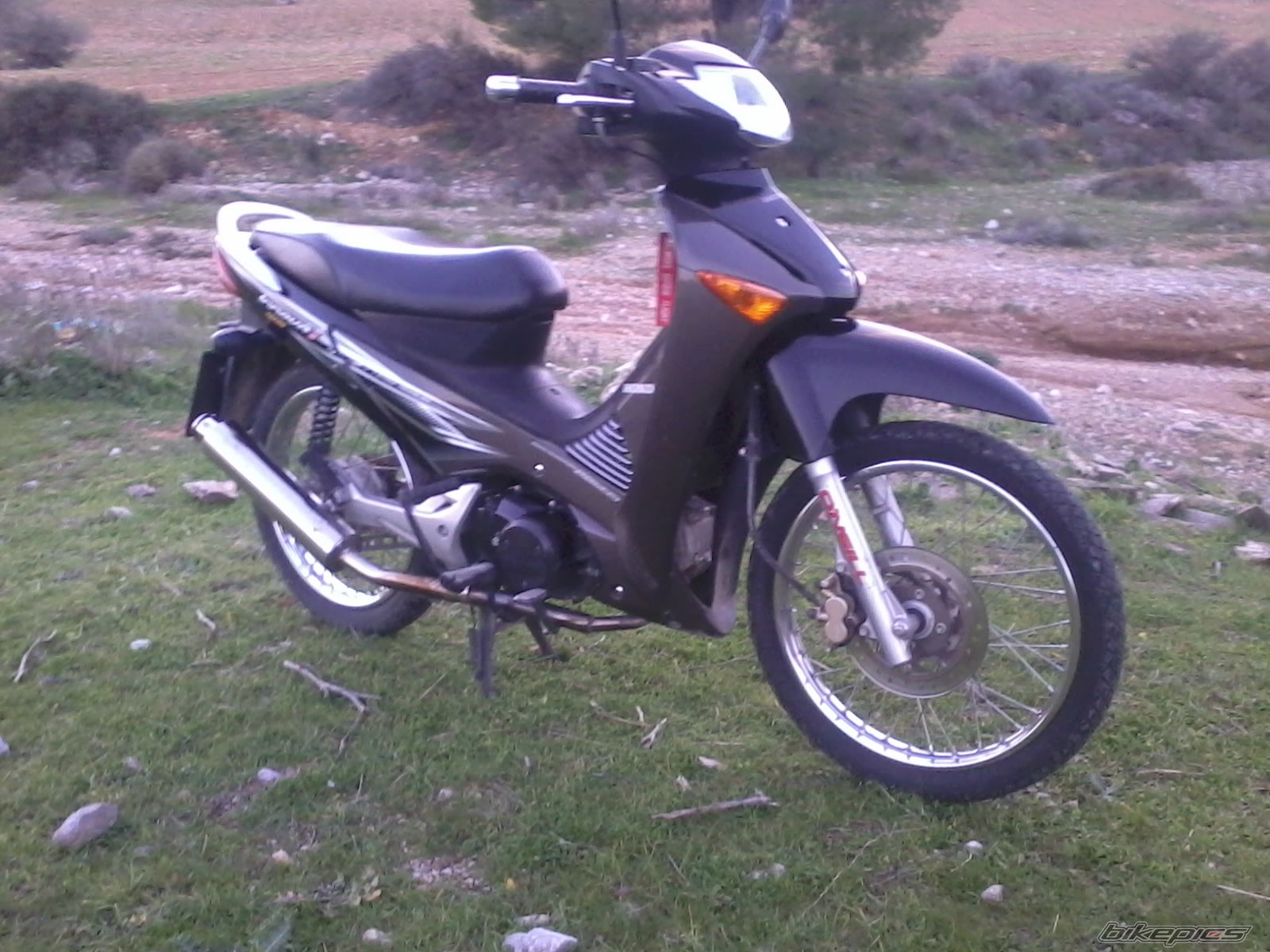 Photo 2538105