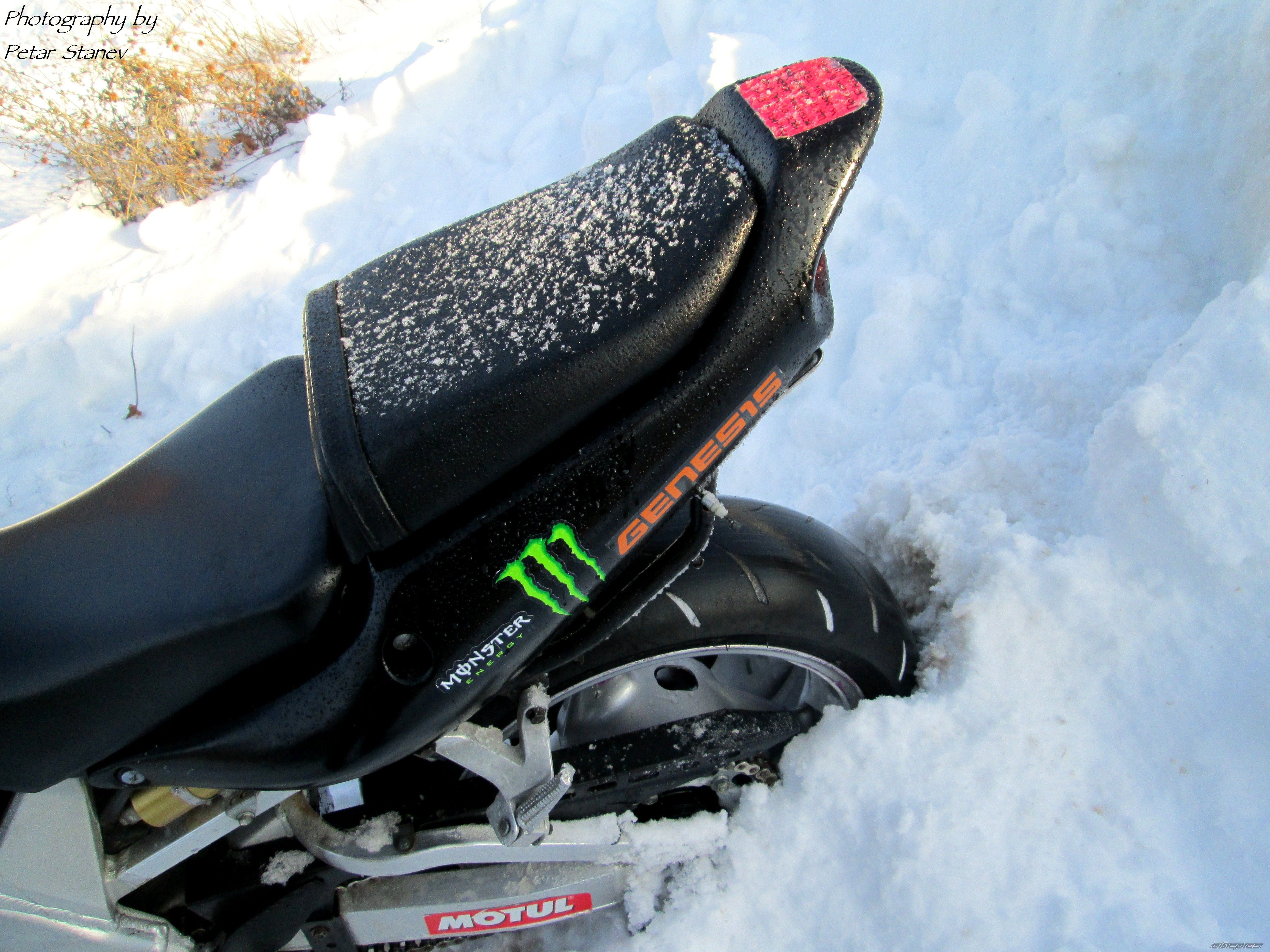 Photo 2538177
