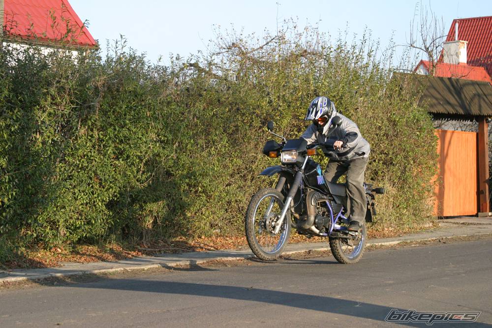 Photo 253821