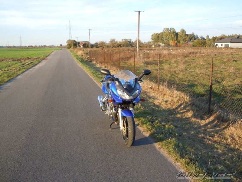 Photo 2538211
