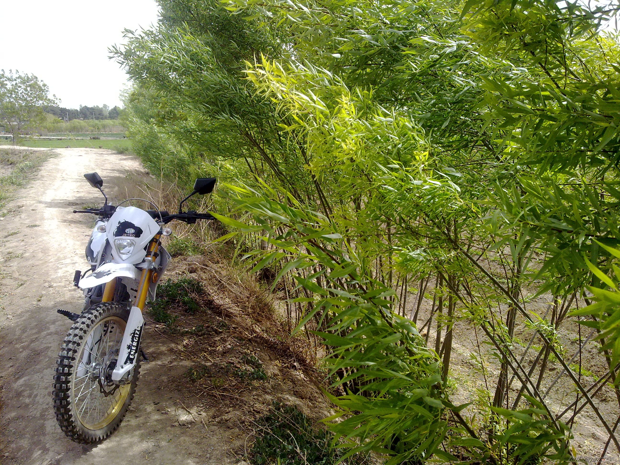 Photo 2538213