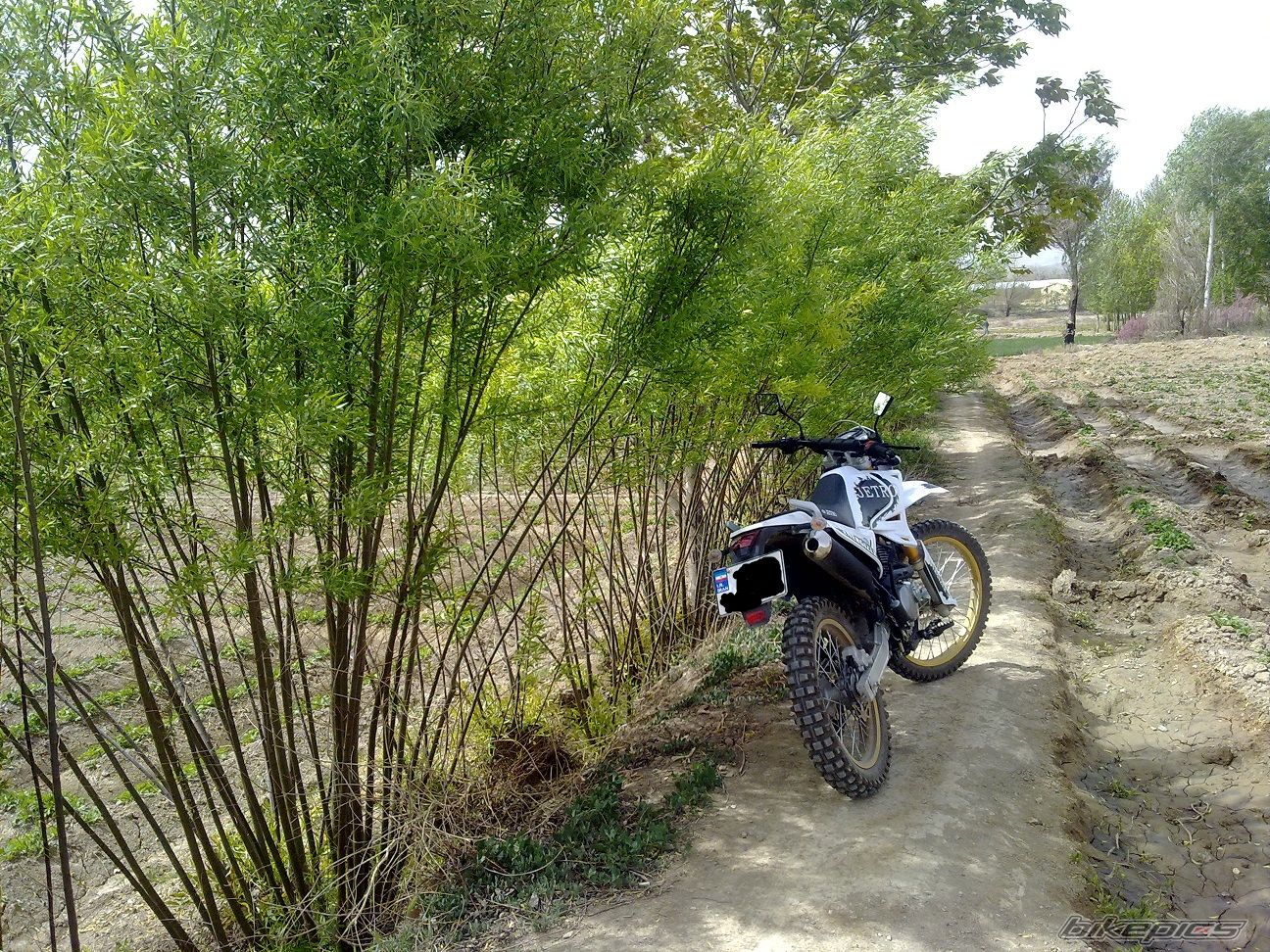 Photo 2538214