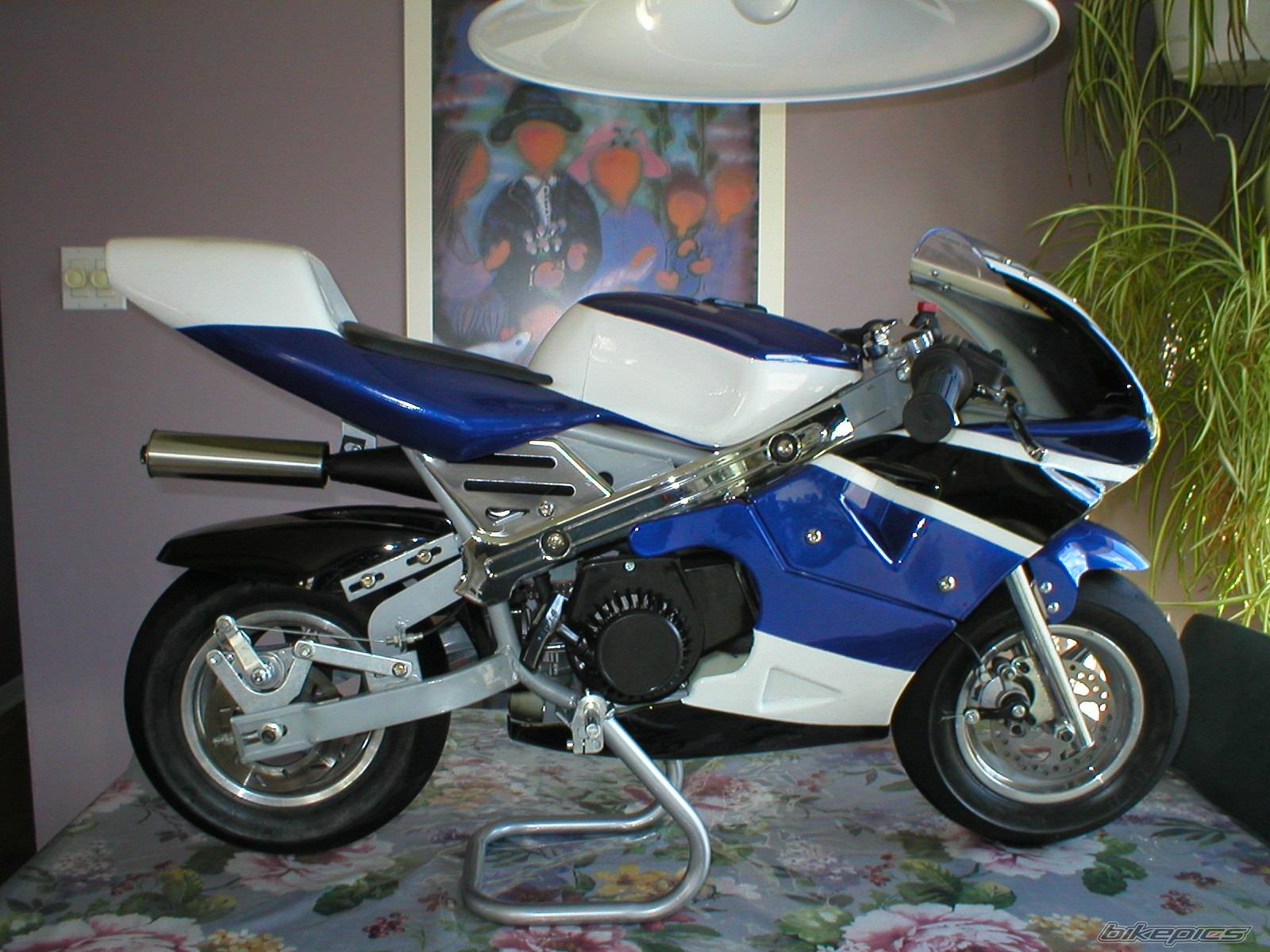 Photo 253822