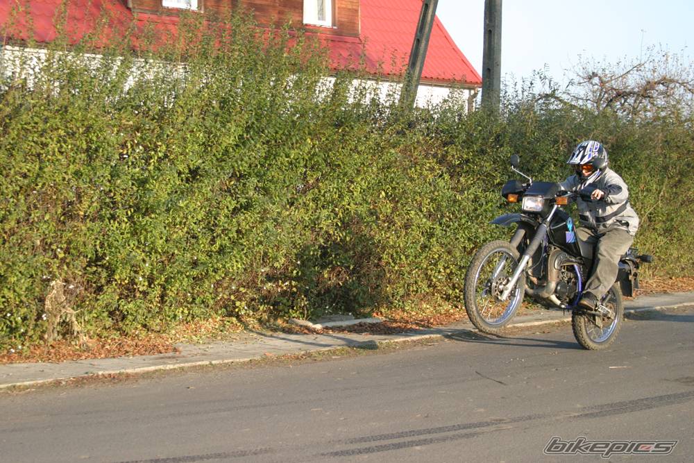 Photo 253823