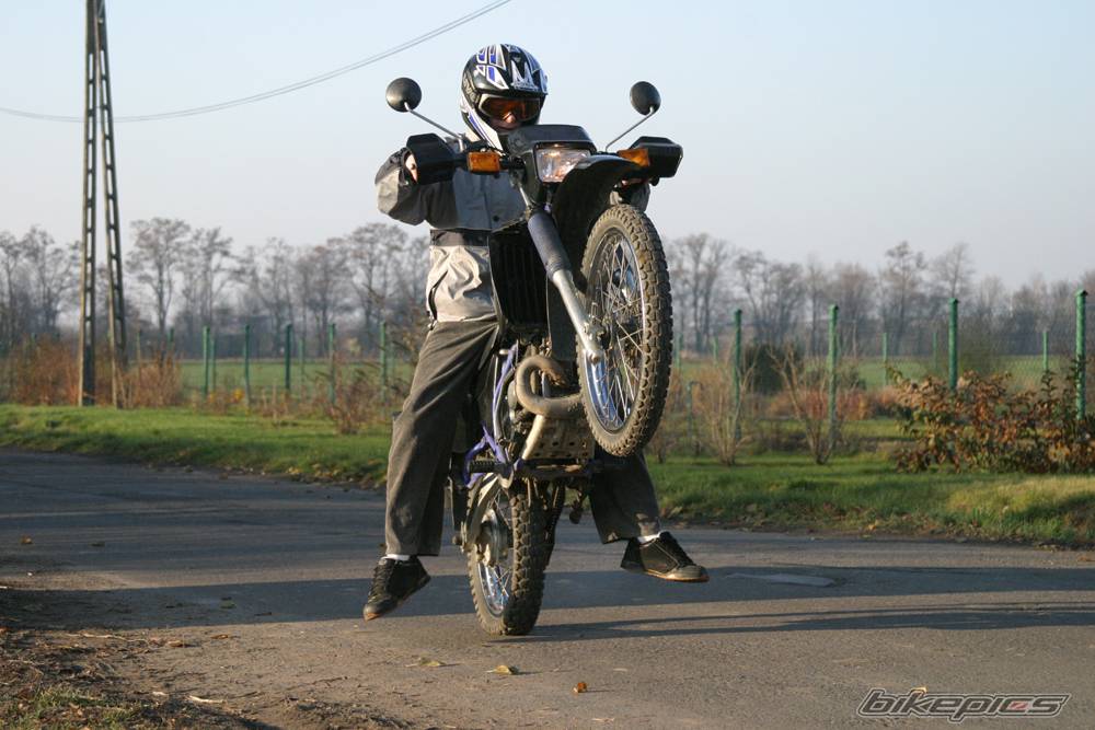 Photo 253824