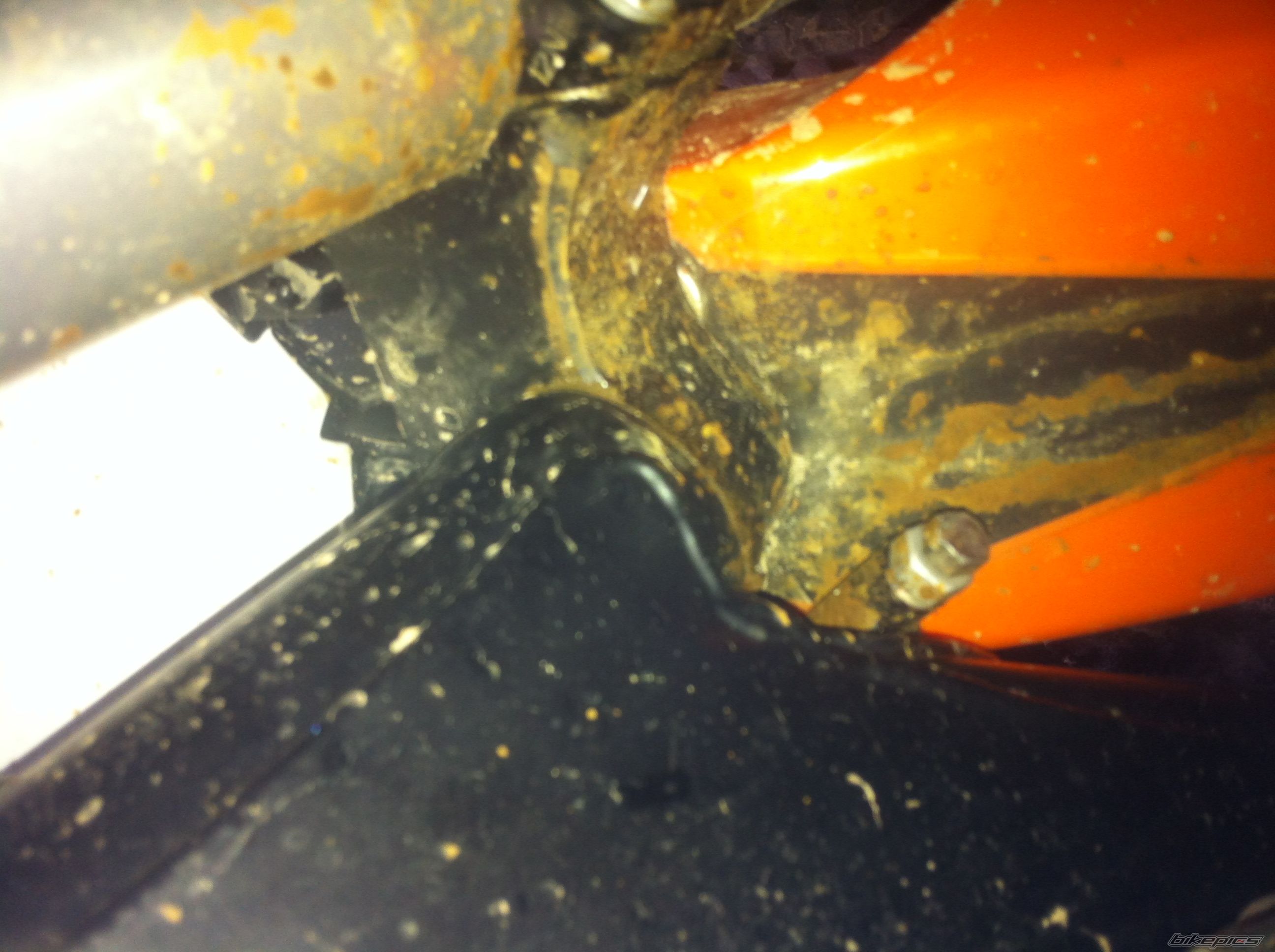 Photo 2538240