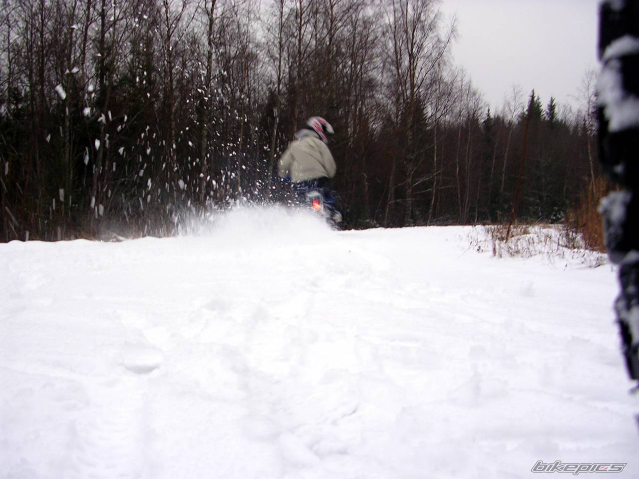 Photo 253828