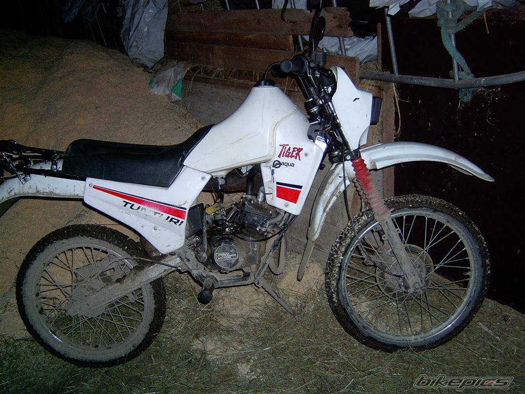 Bike Photo 253831