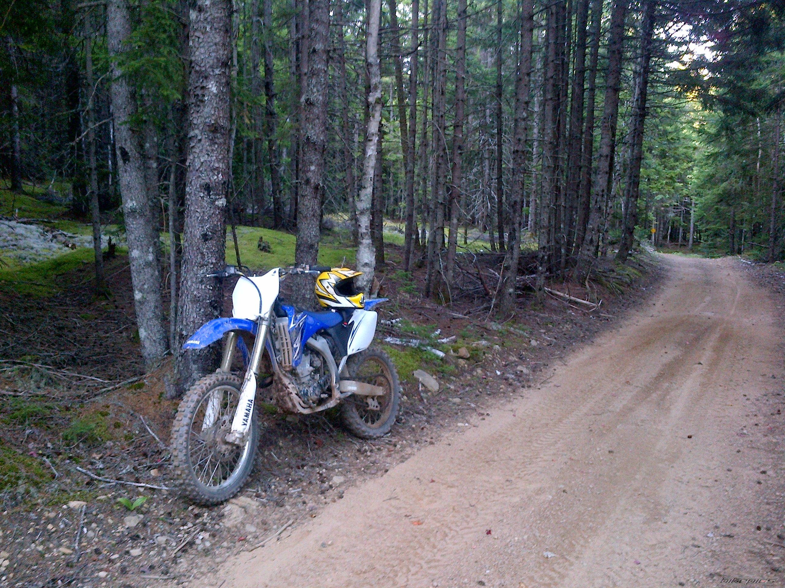 Photo 2538315