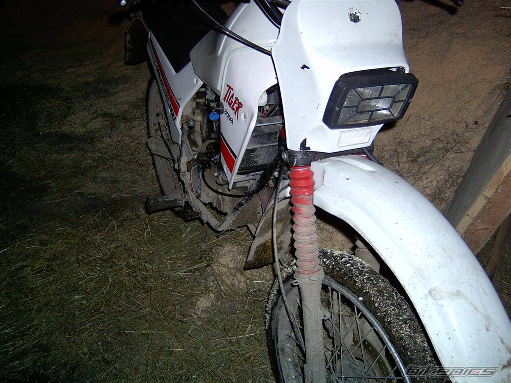 Photo 253832