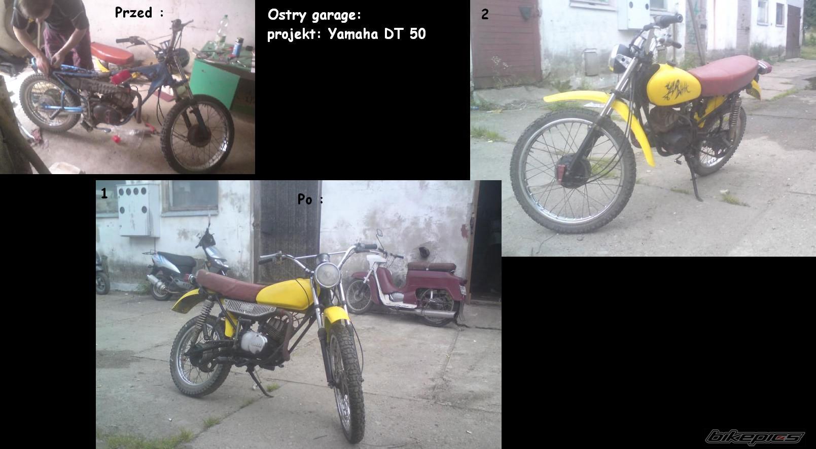 Photo 2538360