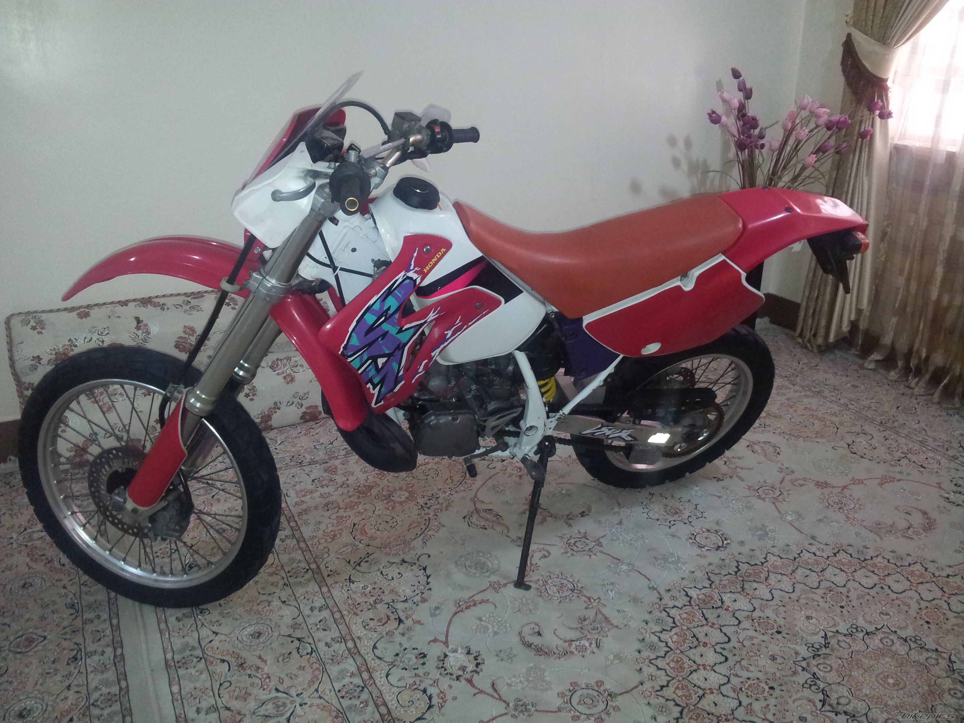 Photo 2538362