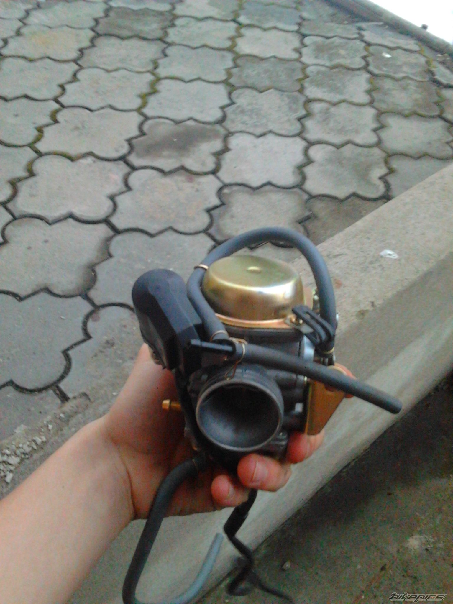 Photo 2538448