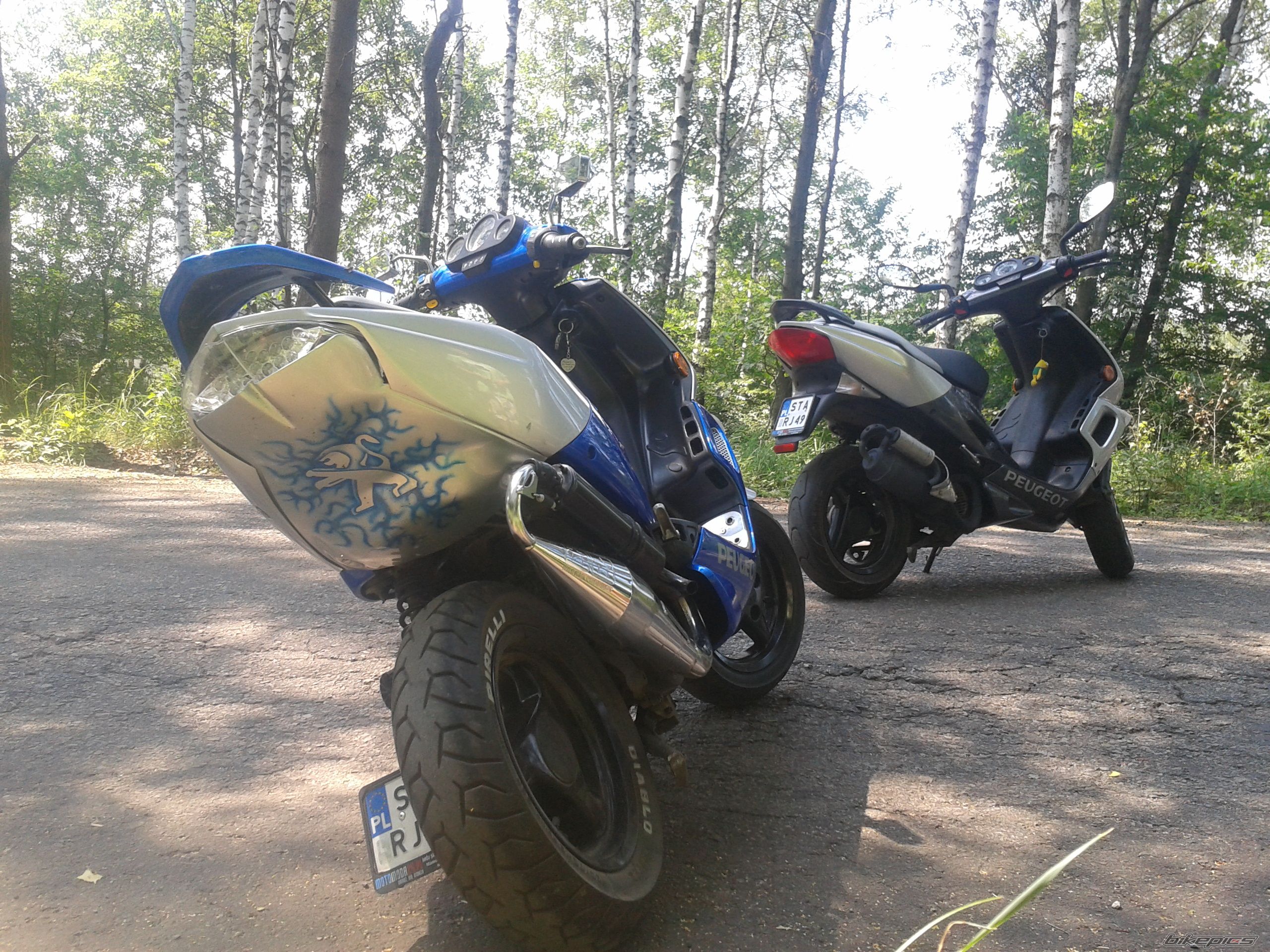 Photo 2538488