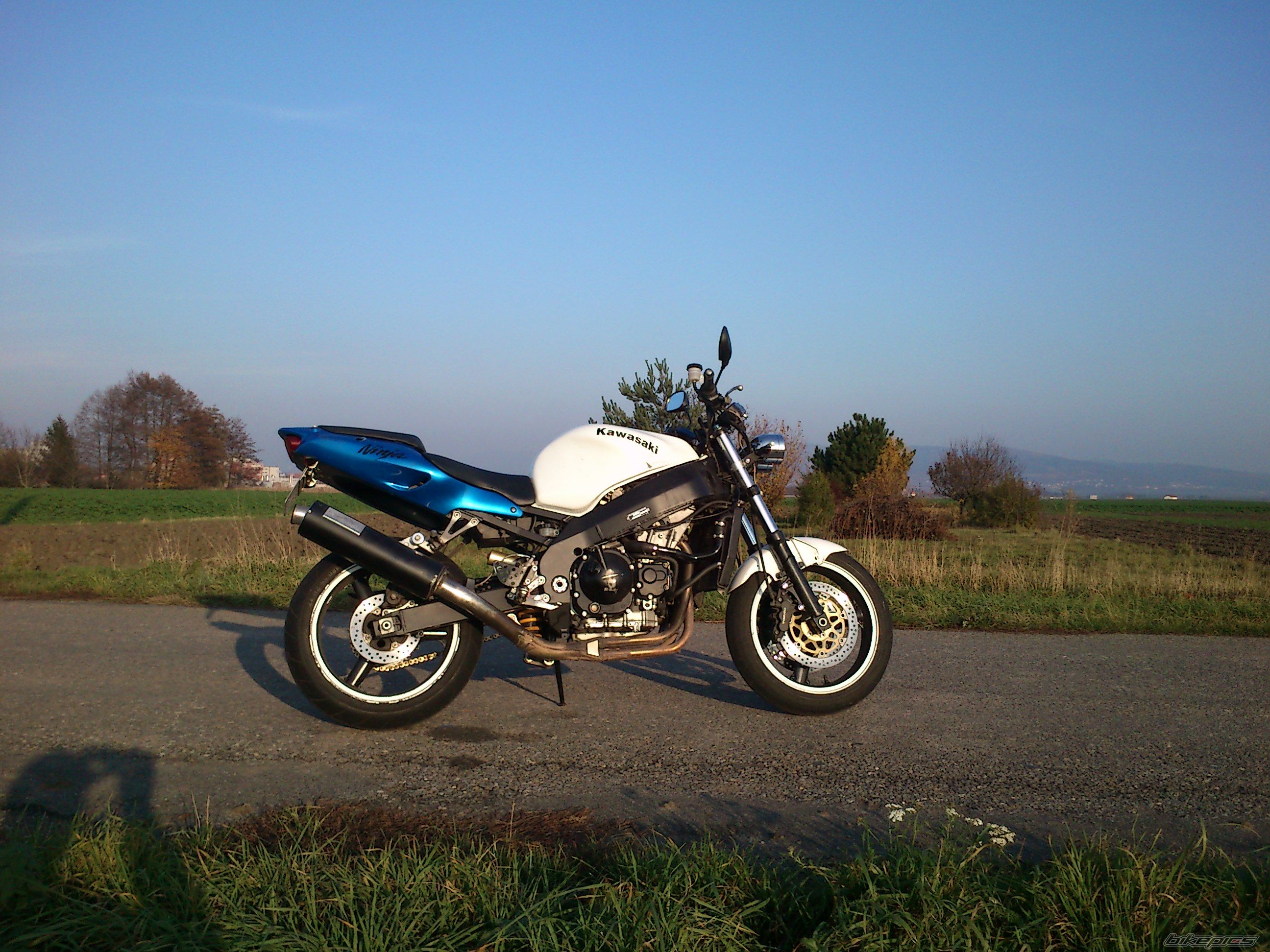 Photo 2538492
