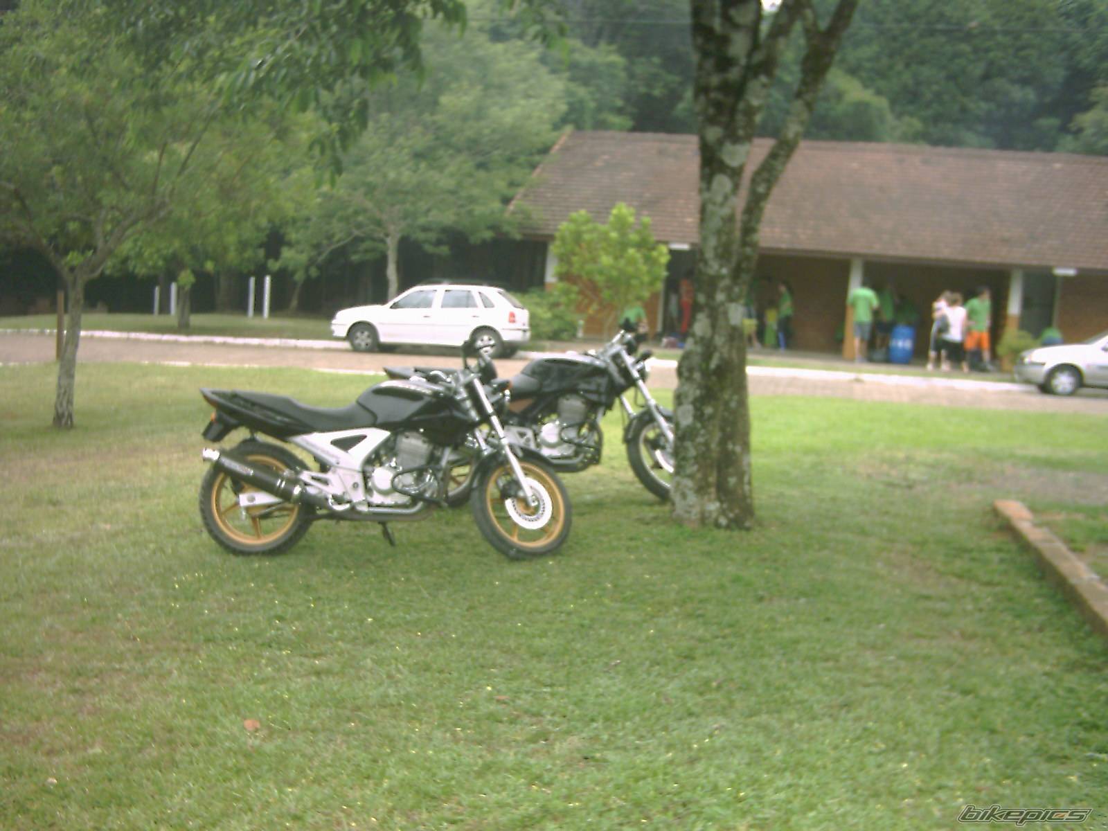 Bike Photo 253850