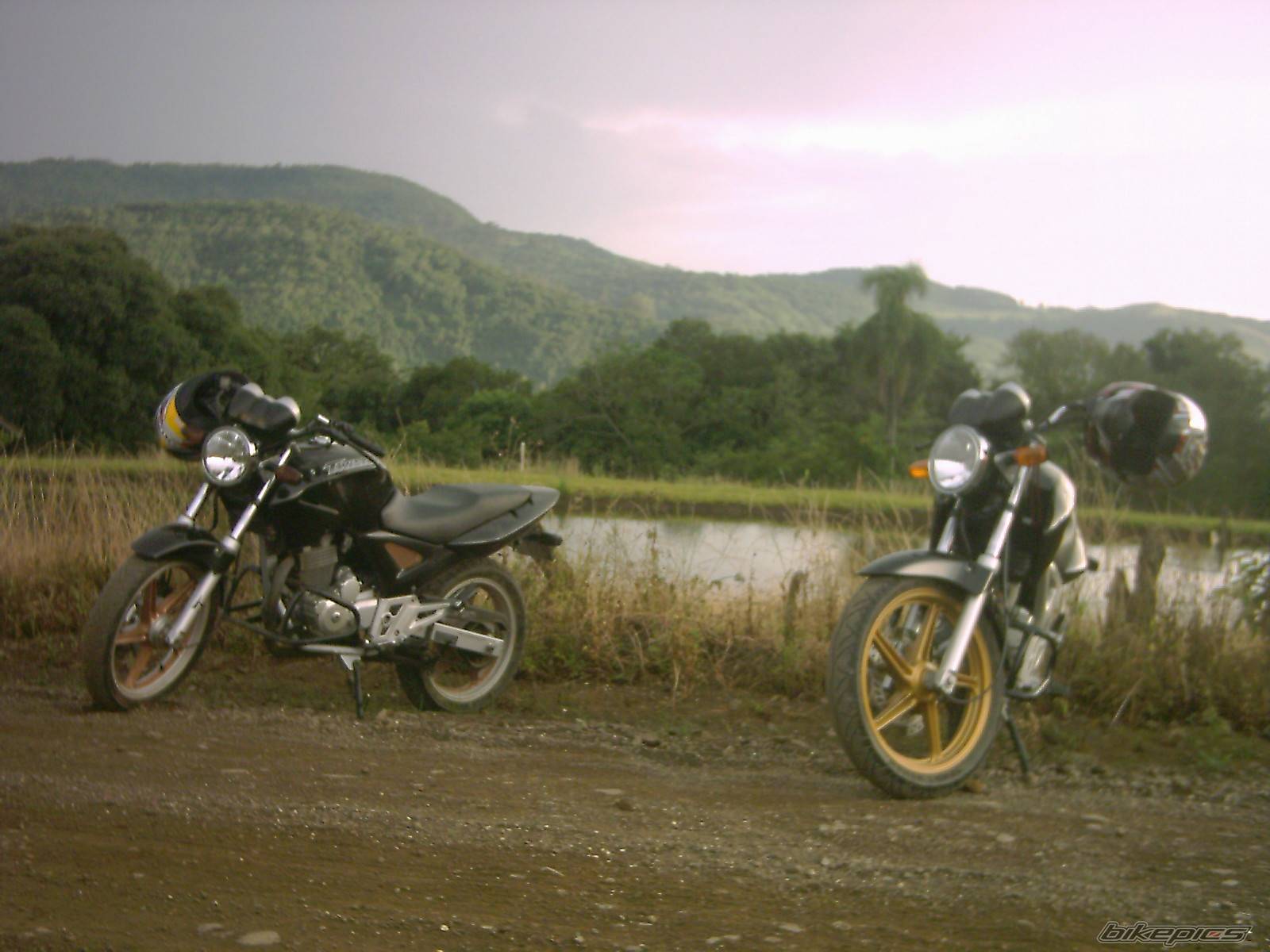Photo 253851