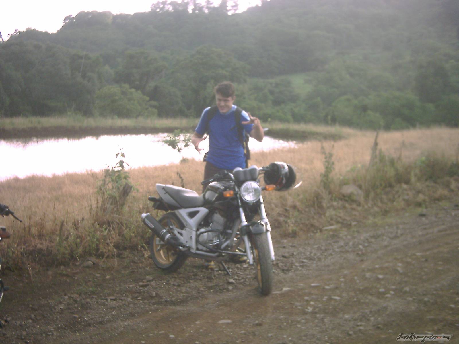 Photo 253852