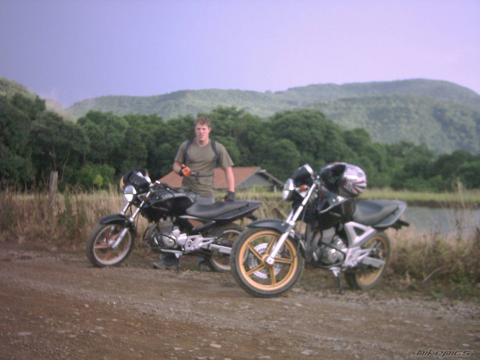 Photo 253853