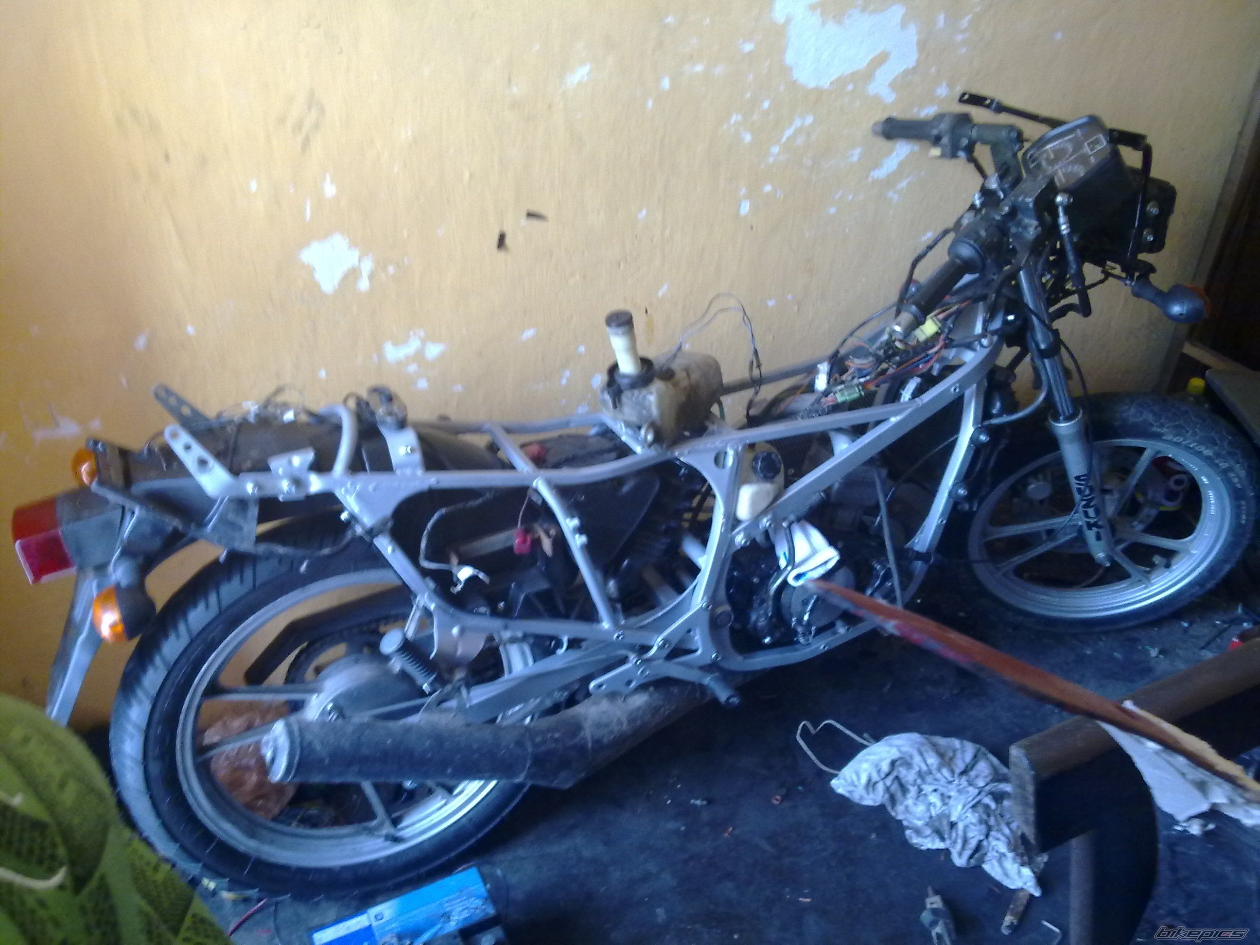 Photo 2538534