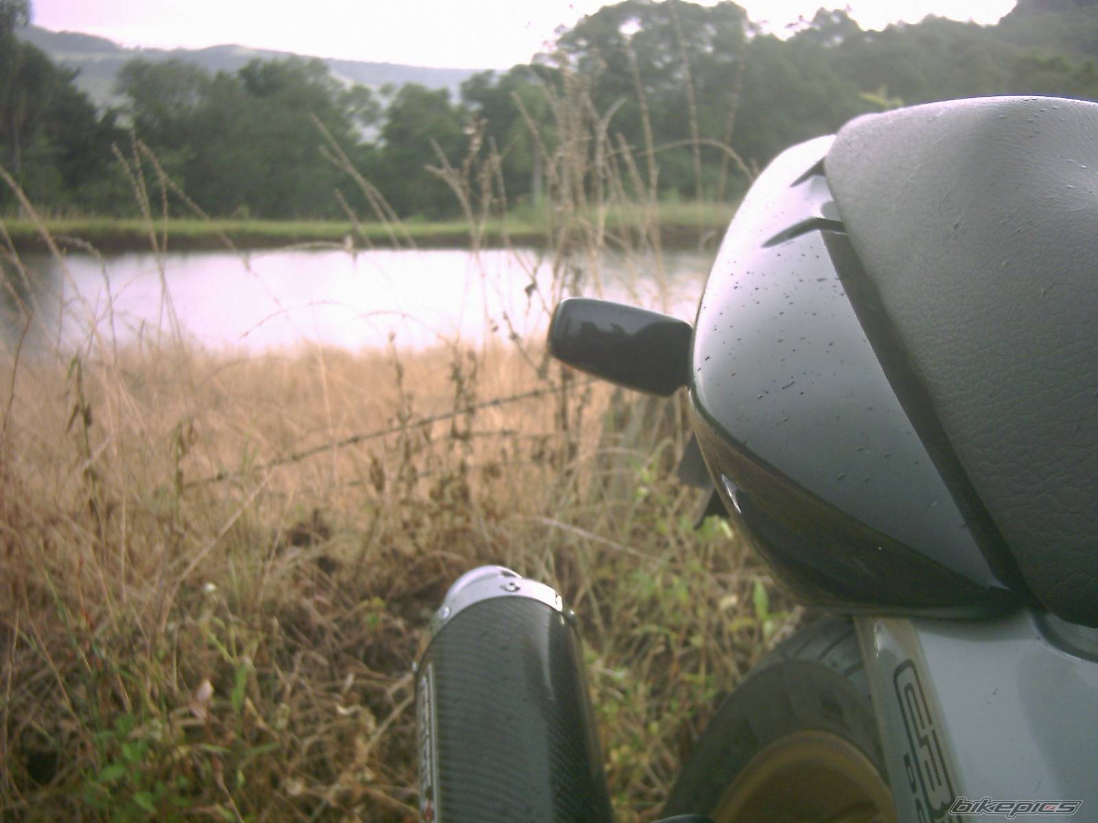 Photo 253854