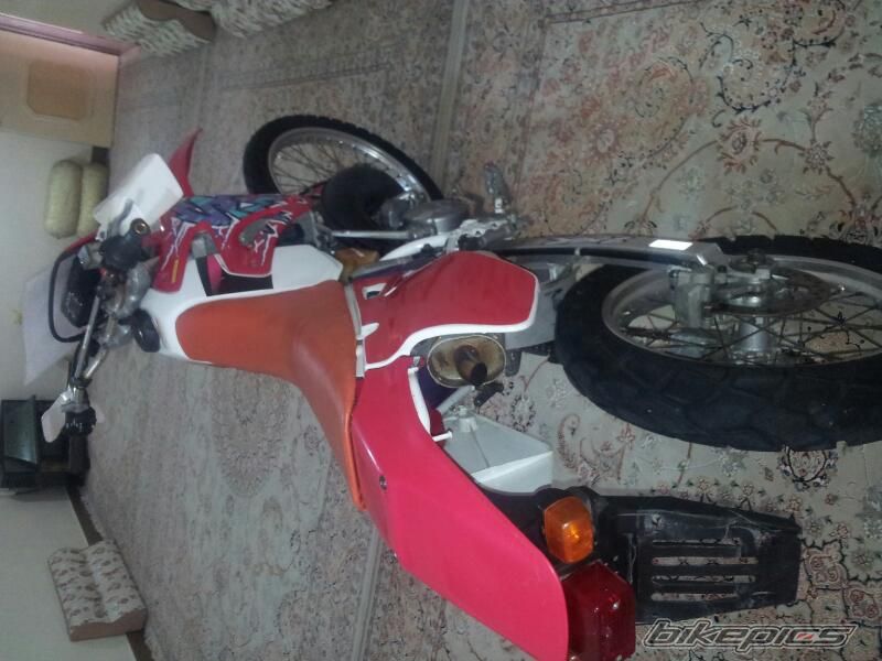 Photo 2538541