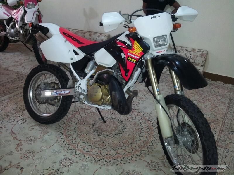 Photo 2538547
