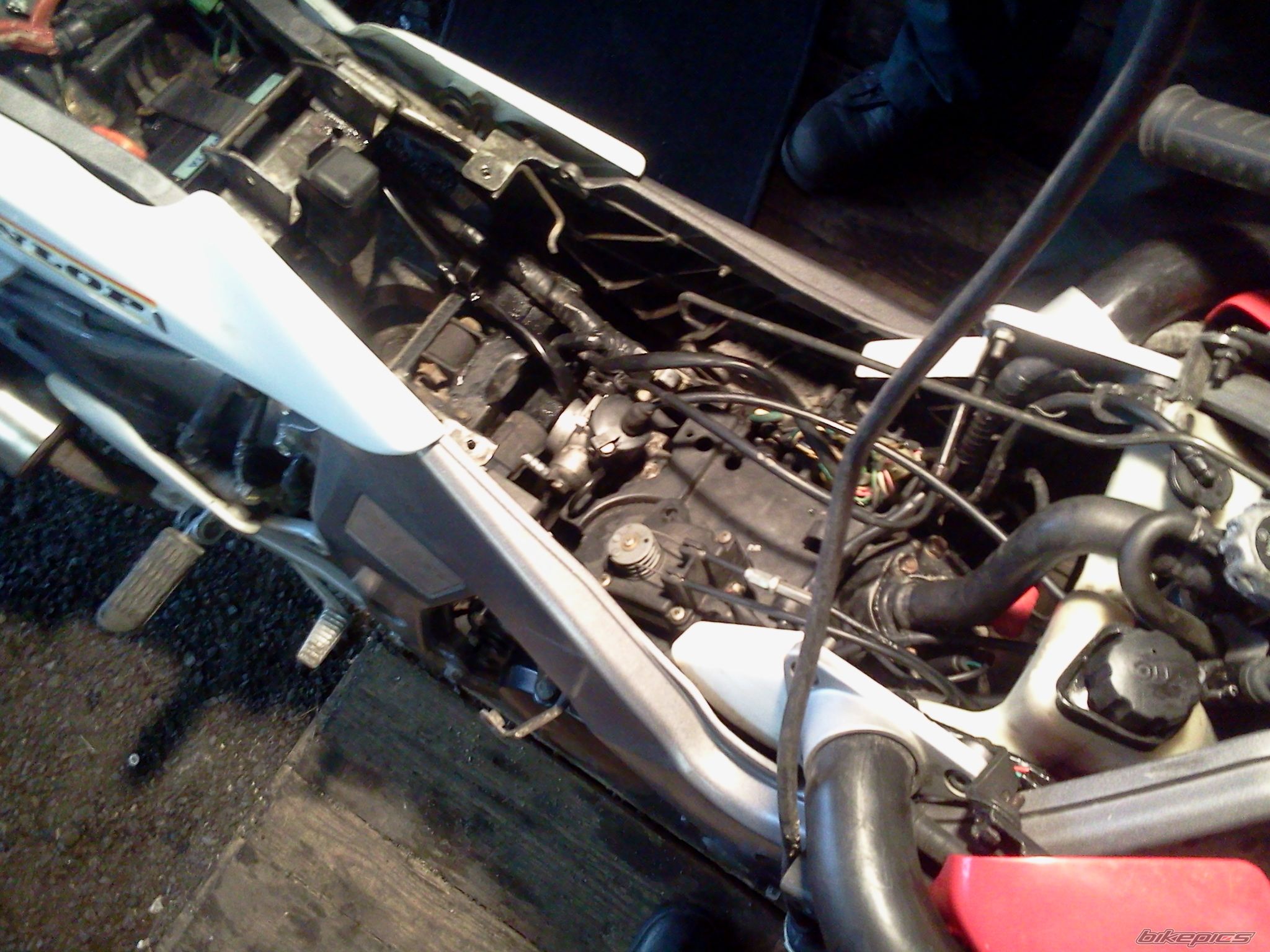 Photo 2538548